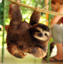 magicalnaturetour:   “Hang ten dude!”