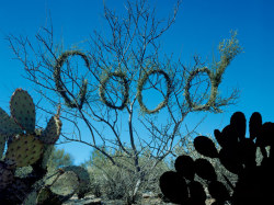 kaylacollege:  Stefan Sagmeister - Art Grandeur Nature 