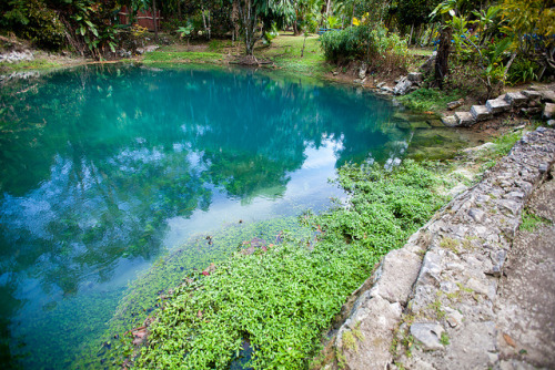 The Blue Hole in Westmoreland, Jamaica (by TenSafeFrogs).