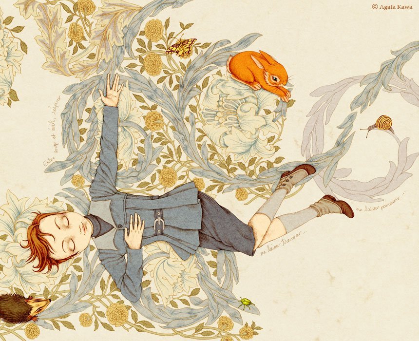 lohrien:  Illustrations by Agata Kawa