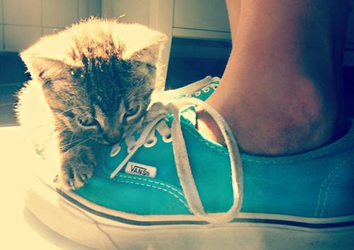 ♥ amo-te ♥
