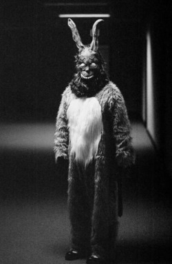 whore-shut-the-fuck-up:  Donnie Darko 