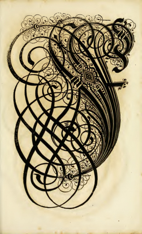 fancifullauren:  prettyclever:  The Proper Art of Writing (1655) (via The Public Domain Review … lots of other great stuff here)  Calligraphy = my secret obsession.
