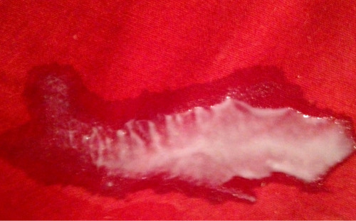 Porn photo whippedstrawberryfrost:  I was really creamy