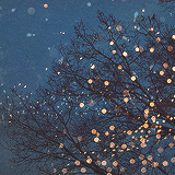 christmas all year round