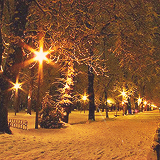 christmas all year round