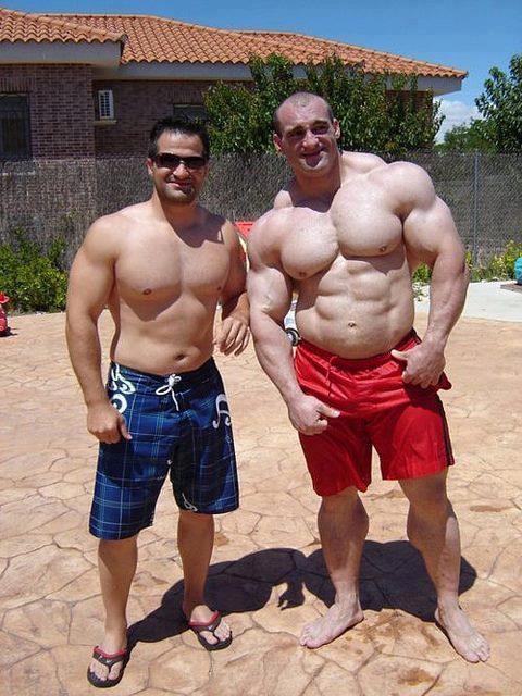 Muscles Muscles and More Muscles