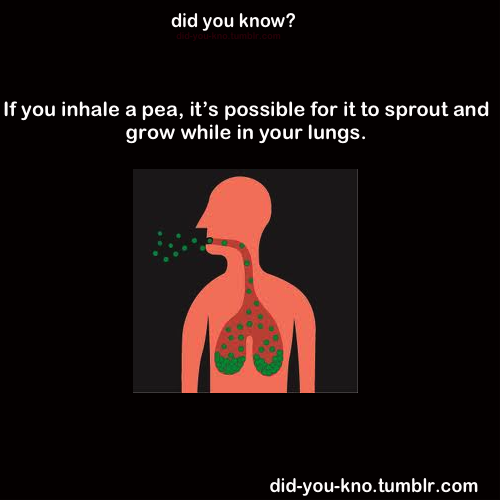 did-you-kno:  Source