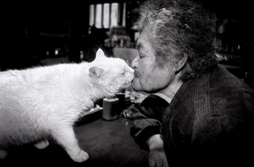 kittehkats: Misao and Fukumaru.  “We will never be apart.” 12 years ago, Japanese photographer, Miyoko Ihara (伊原　美代子) started to take photographs of her grandmother, Misao. Born in 1981 in Chiba (Japan), Miyoko Ihara has studied under