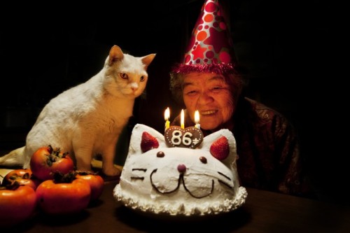 stonedpervert:     kittehkats:  Misao and Fukumaru.  “We will never be apart.” 12 years ago, Japanese photographer, Miyoko Ihara (伊原　美代子) started to take photographs of her grandmother, Misao. Born in 1981 in Chiba (Japan), Miyoko