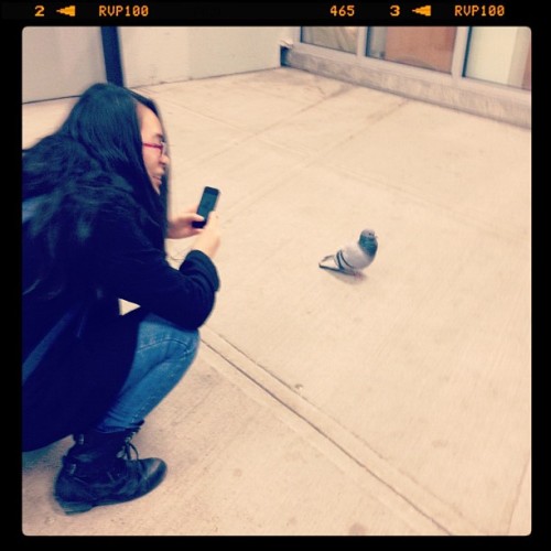 Andrea taking pictures of a pigeon in the subway station