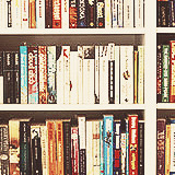 sarfats:  pretty little things: books 