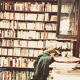 sarfats:  pretty little things: books 