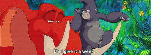 Hey, Disney Lovers!