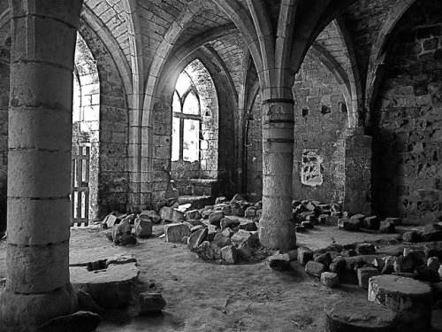 medievallove:L’abbaye de la Clarté-Dieu , commune de St Paterne Racan , Indre et Loire by Lionel Fra