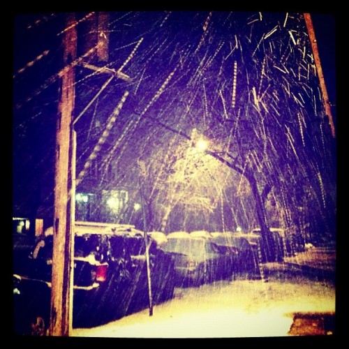 More snow (I actually went out) #bk #brooklyn #nyc #snow #noreaster