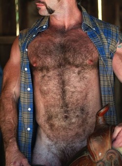 dilftruckers:  hairy stud with a handle bar mustache &lt;3