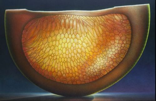propaedeuticist:  Photorealistic Paintings of Illuminated Vesicles (1, Sunburst) - Dennis Wojtkiewicz