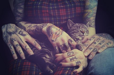 ✌ ♡ ☯