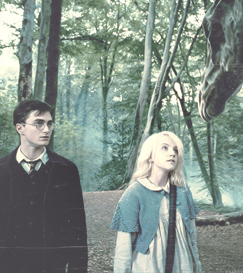 knockturnallley:   "You're not going mad. I see them too. You're just as sane
