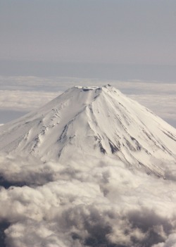 feli-cite:  mount fuji 