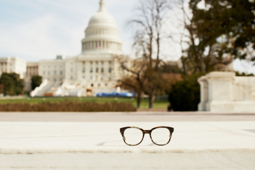 warbyparker:  Frames from our new holiday collection in Washington, D.C., where our Class Trip bus will be until November 25th! Photos by Collin Hughes. 