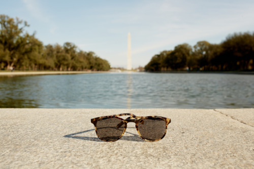 warbyparker:  Frames from our new holiday collection in Washington, D.C., where our Class Trip bus will be until November 25th! Photos by Collin Hughes. 