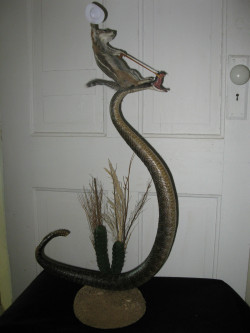 veird:  notmyvirginears:  bad taxidermy 