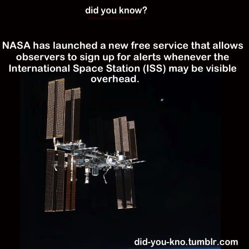 did-you-kno:  Source