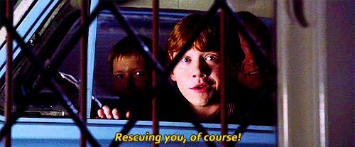 Ron, fred and George rescuing Harry