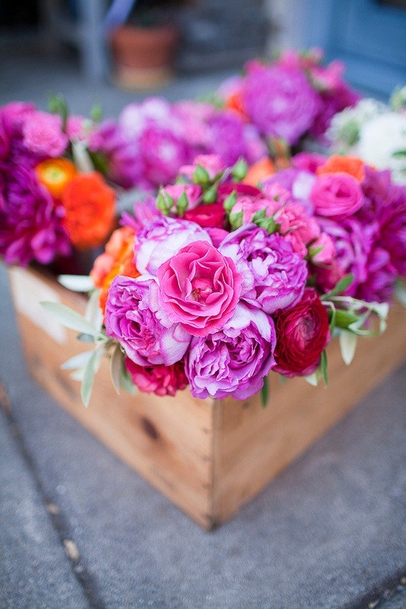 loco-bliss:  citrus—twist:  gorgeous