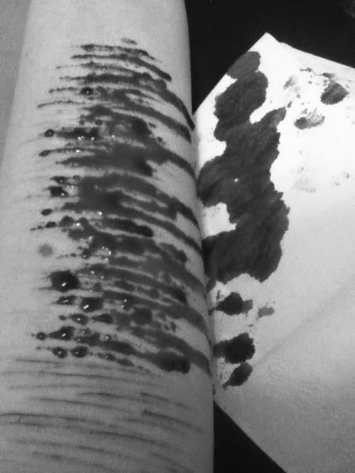 tumblr photo hola-soy-anacleto 0