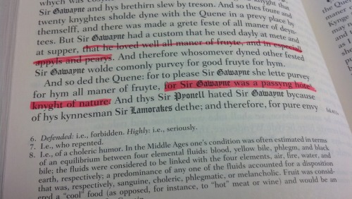 Gwapple.Canon.Also: &ldquo;For Sir Gawayne was a passing hot knight of nature.&rdquo;Dayum!