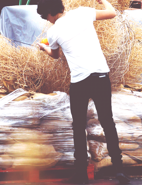  All I wanna do is love your body;         