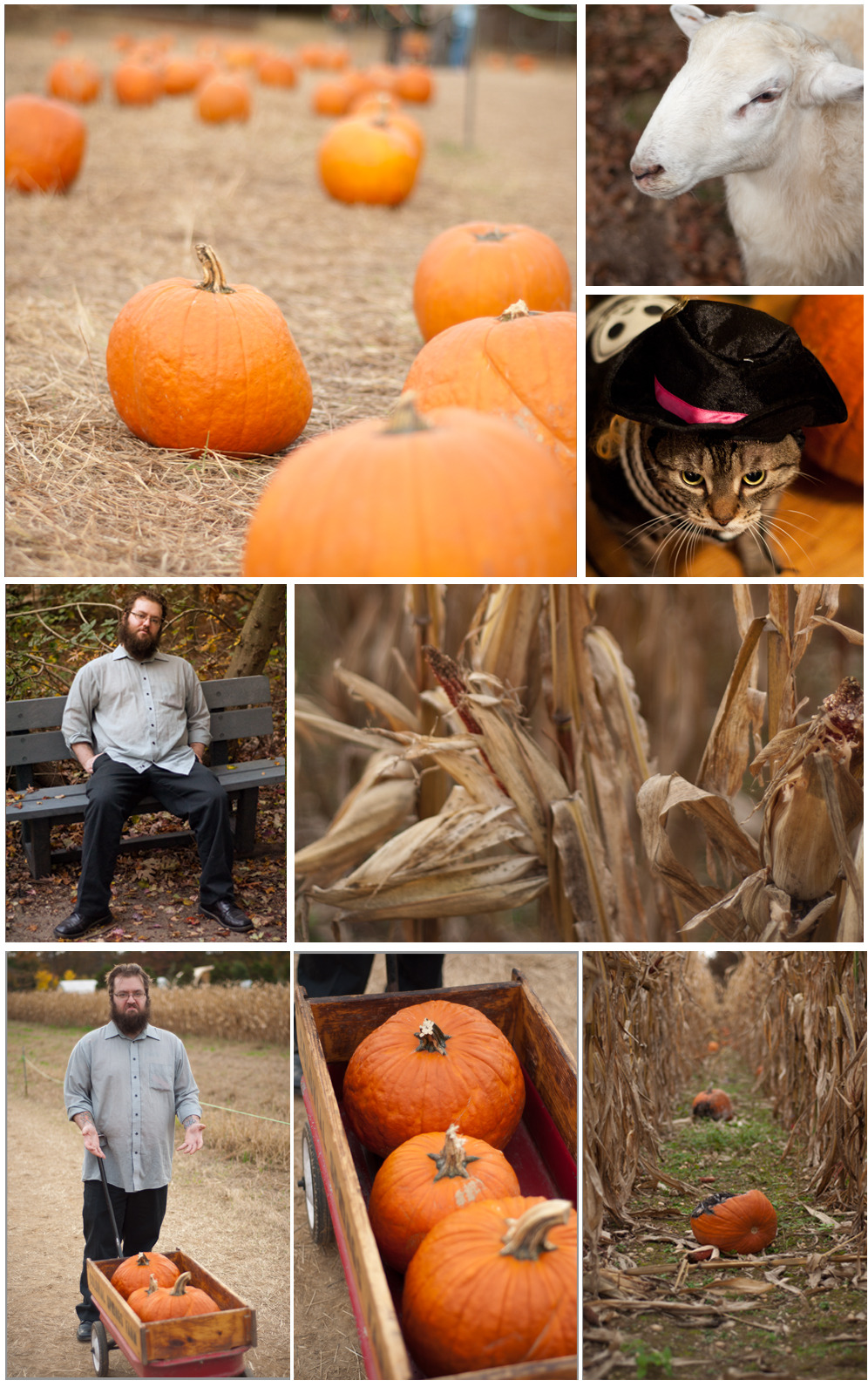Decided to finally post photos of pumpkin picking, seeing as how there’s a random winter storm here..