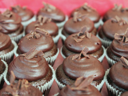 Gastrogirl:  Mini Chocolate Cupcakes With Chocolate Ganache. 