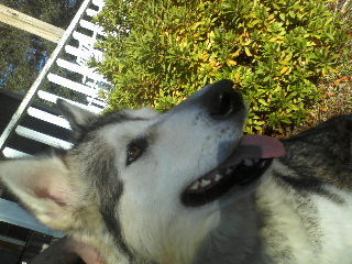 my baby girl