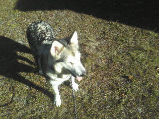 my baby girl