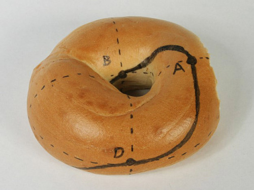 mydetheturk:sciencecenter:Science-ify your breakfast with a Möbius bagelYou’ve probably h