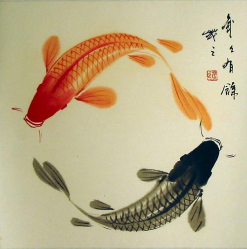 XXX vadaininatten:   Koi Fish. Symbol of courage, photo