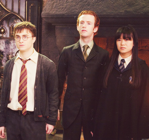 crucio-sweetcrucio:  Harry Potter and the Order of the Phoenix 