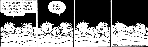 calvinandhobbes-daily:  November 10, 1989