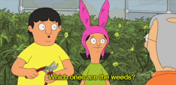 weedporndaily:  Bobs Burgers 