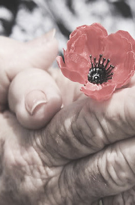 gregorypecks:  Remembrance Day is a memorial day observed in Commonwealth countries since the end of World War One to remember the members of their armed forces who have died in the line of duty. Remembrance Day is observed on November 11 to recall the