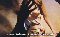 francissinatra:  Sometimes it makes me sad, though, Andy being gone… 