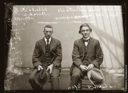 Mug shot of Albert Stewart Warnkin and Adolf