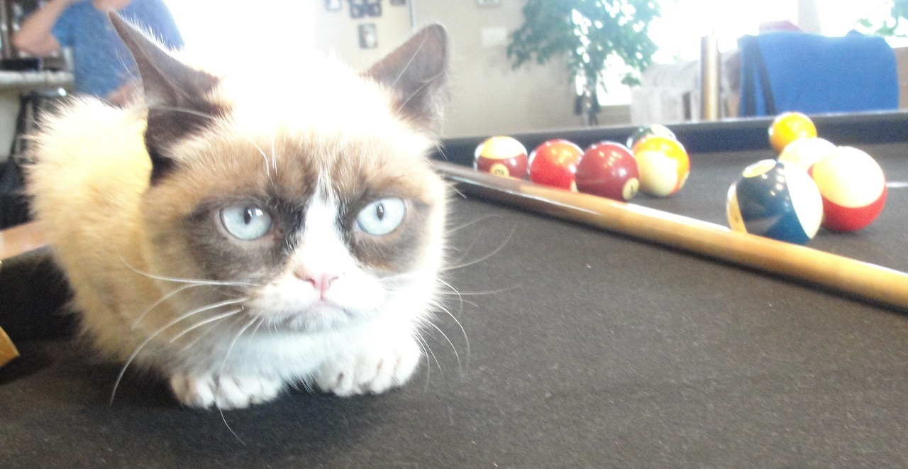 The Daily Grump | November 9, 2012