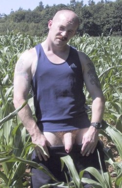 bigbeefydevils:  uncut farmer in his cornfield 