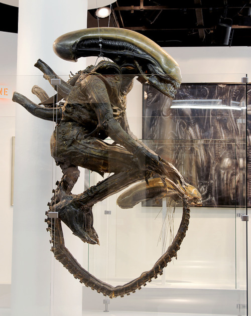 Sex  youcannotfalter:  Original Alien stunt suit pictures