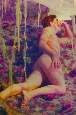sean-clancy:  Pink Narcissus (1971) by James
